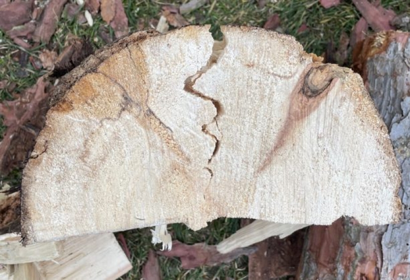 10 photos that played a game with our minds