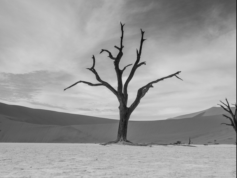 10 photos that will make you want to visit Namibia