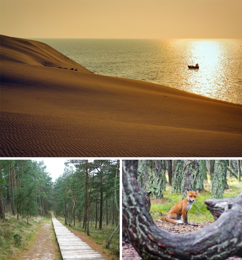 10 roads that will reveal to you all the beauty of Russia