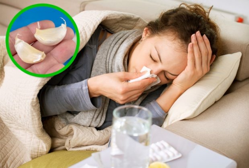 10 spices and herbs that take care of your body from head to toe