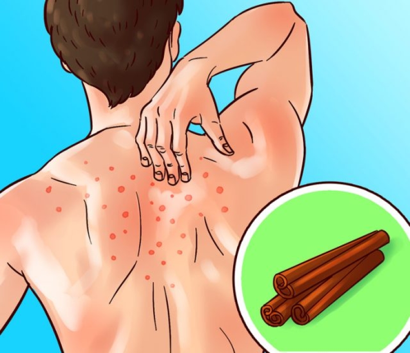 10 spices and herbs that take care of your body from head to toe