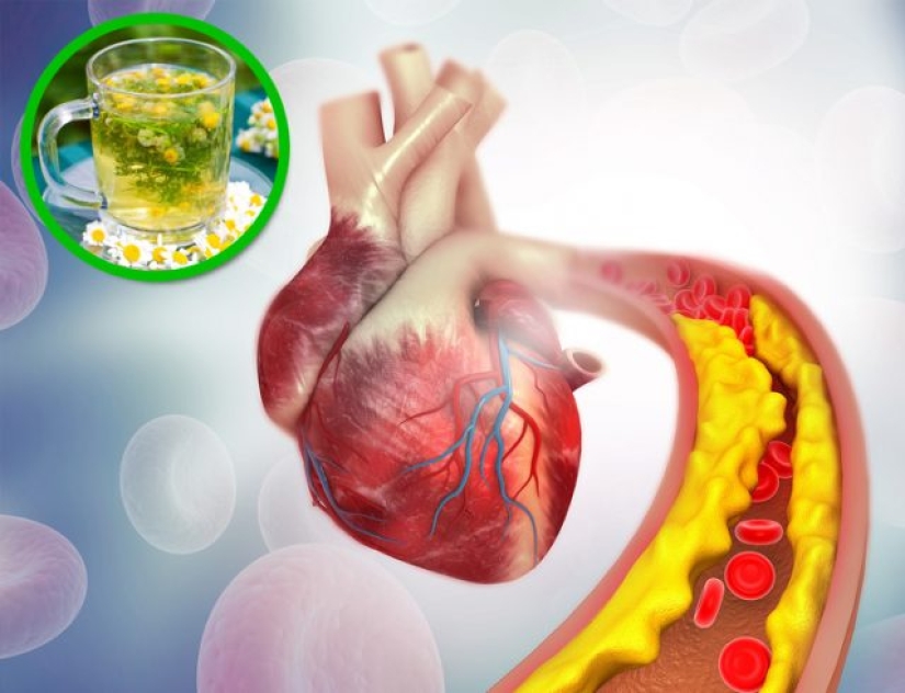 10 spices and herbs that take care of your body from head to toe