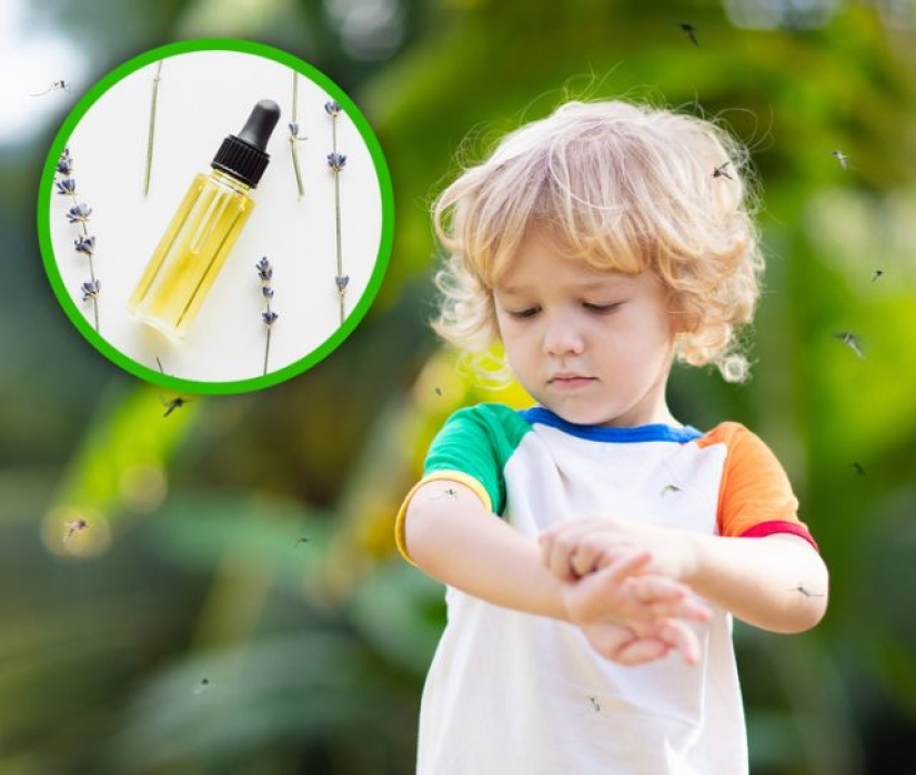 10 spices and herbs that take care of your body from head to toe