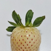 10 times the universe managed to surprise us