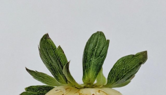 10 times the universe managed to surprise us