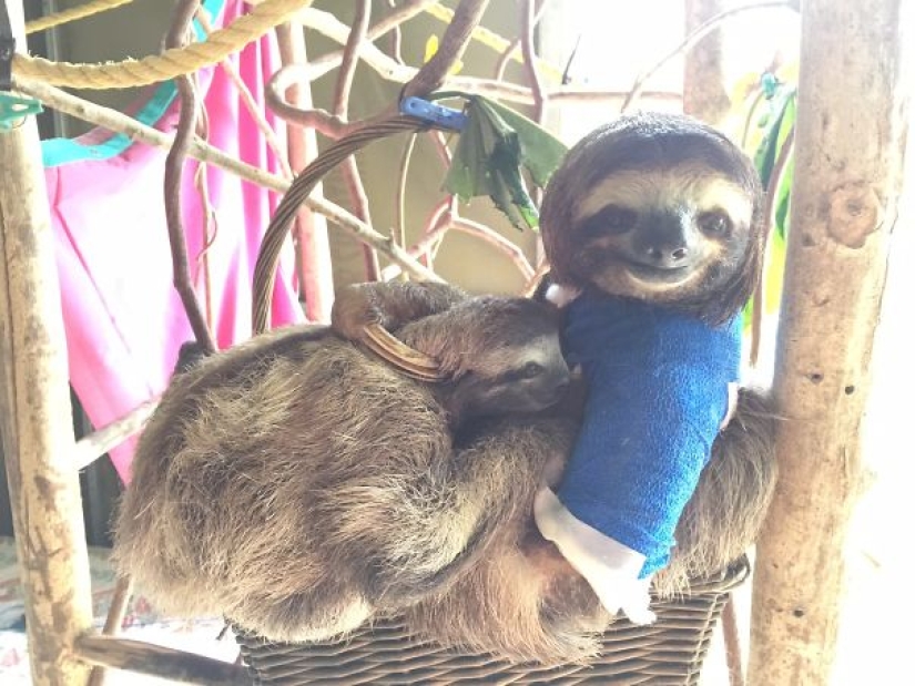 10 tiny animals in miniature plaster casts 10 tiny animals in miniature plaster casts