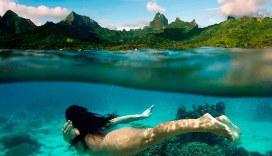 10 unique semi-underwater photos 10 unique semi-underwater photos