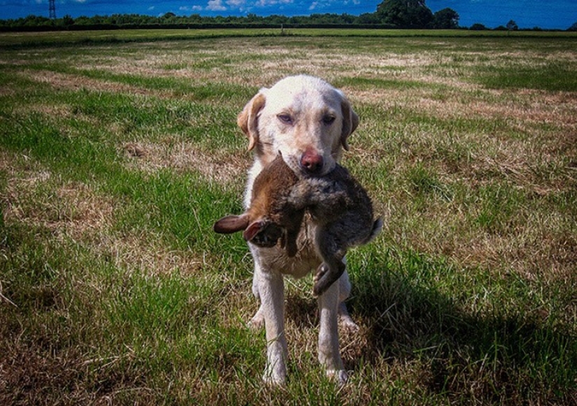 10 unusual phenomena for which, it turns out, there are terms 10 unusual phenomena for which, it turns out, there are terms