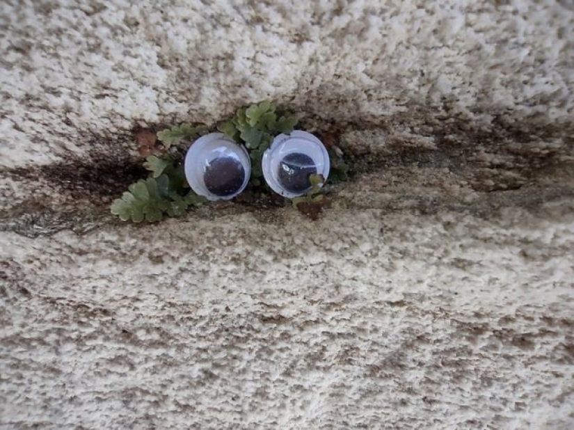 10 veces que el universo logró sorprendernos