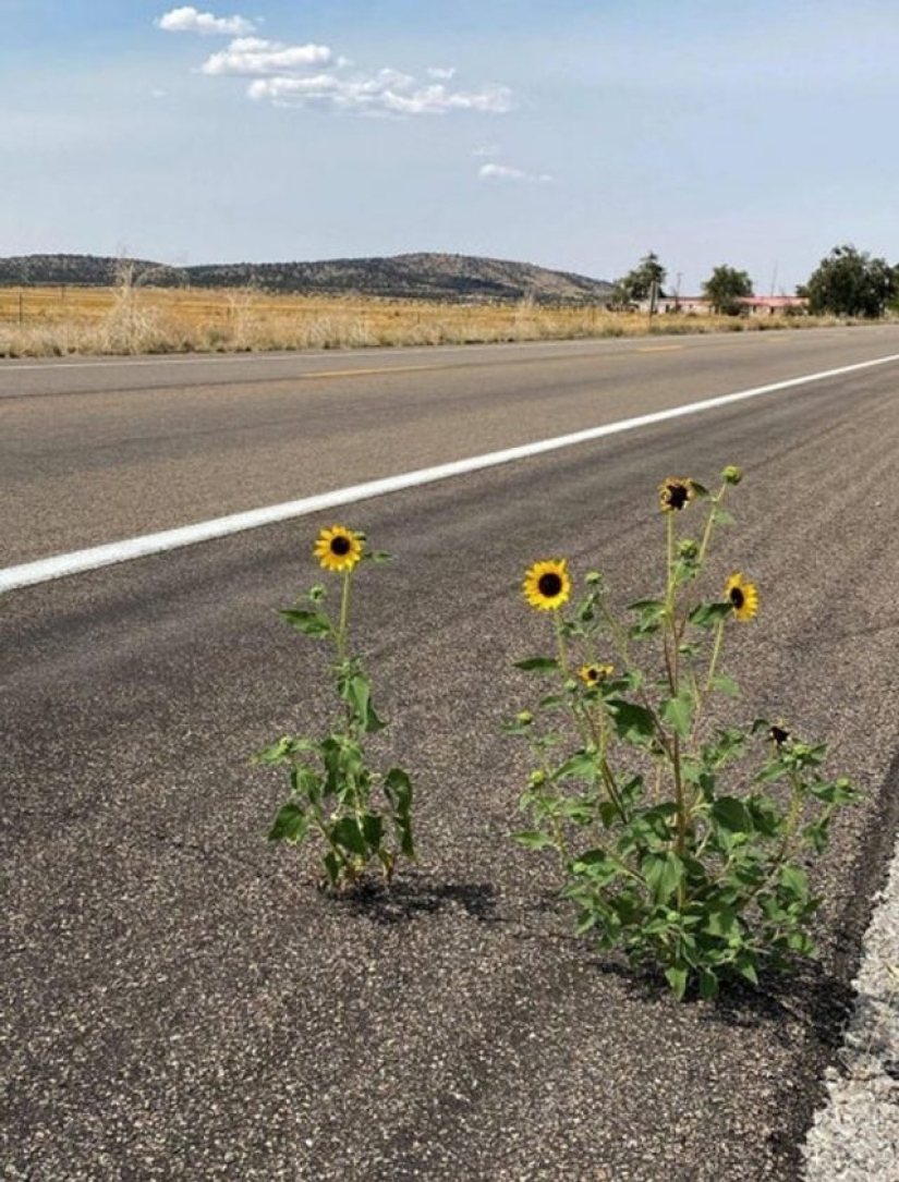 10 veces que el universo logró sorprendernos