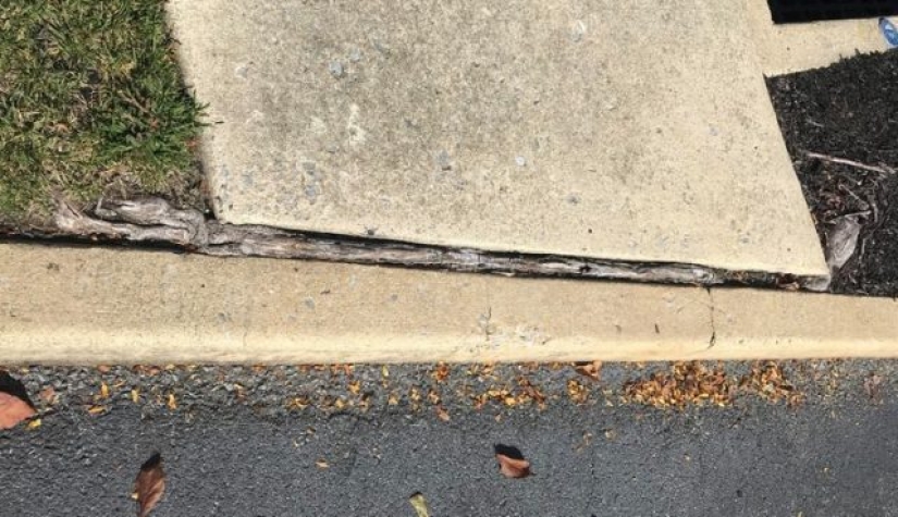 10 veces que la madre naturaleza nos sorprendió con sus obras de arte