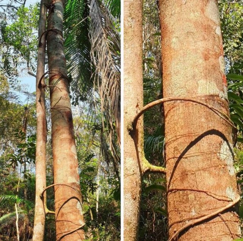 10 veces que la madre naturaleza nos sorprendió con sus obras de arte