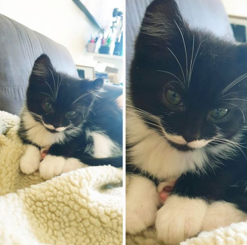 10 veces que la madre naturaleza nos sorprendió con sus obras de arte