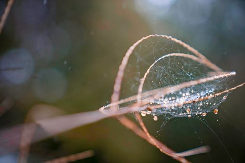 10 veces que la madre naturaleza nos sorprendió con sus obras de arte