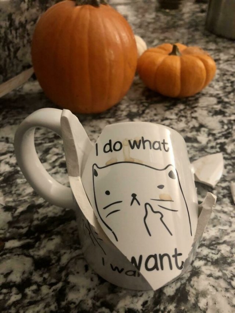 10 veces que las personas han experimentado los contratiempos más vergonzosos