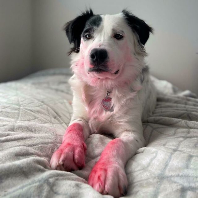 10 veces que las personas han experimentado los contratiempos más vergonzosos