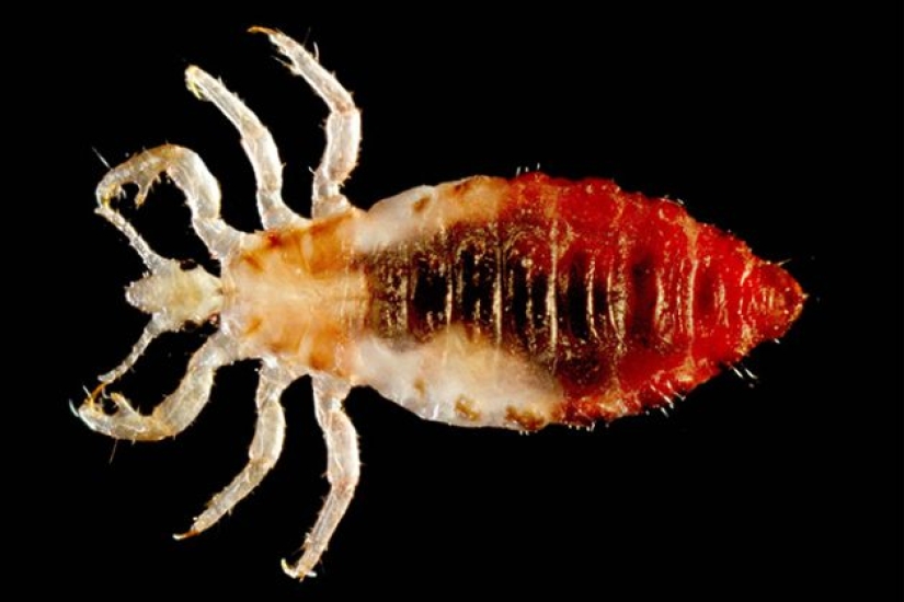 10 Weird Harry Potter Facts About The Movie And Cast 10 Weird Harry Potter Facts About The Movie And Cast