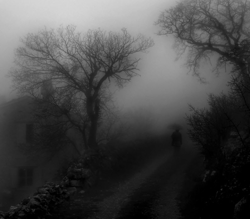 100 amazing fog photos (part 1) 100 amazing fog photos (part 1)