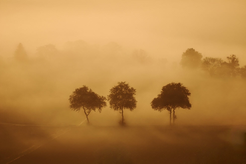 100 amazing fog photos (part 1) 100 amazing fog photos (part 1)