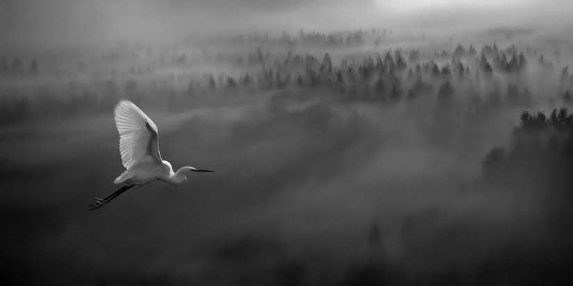 100 amazing fog photos (part 1) 100 amazing fog photos (part 1)