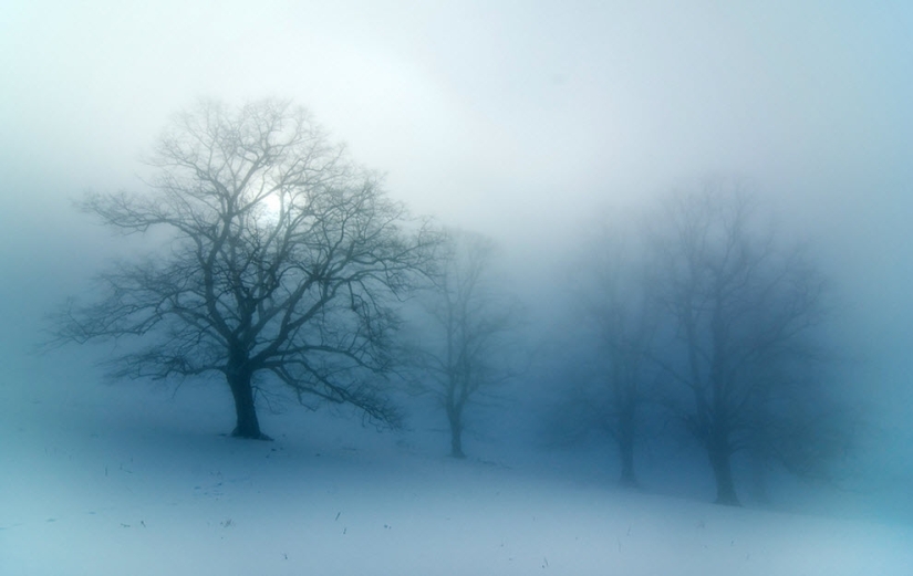 100 amazing fog photos (part 1) 100 amazing fog photos (part 1)
