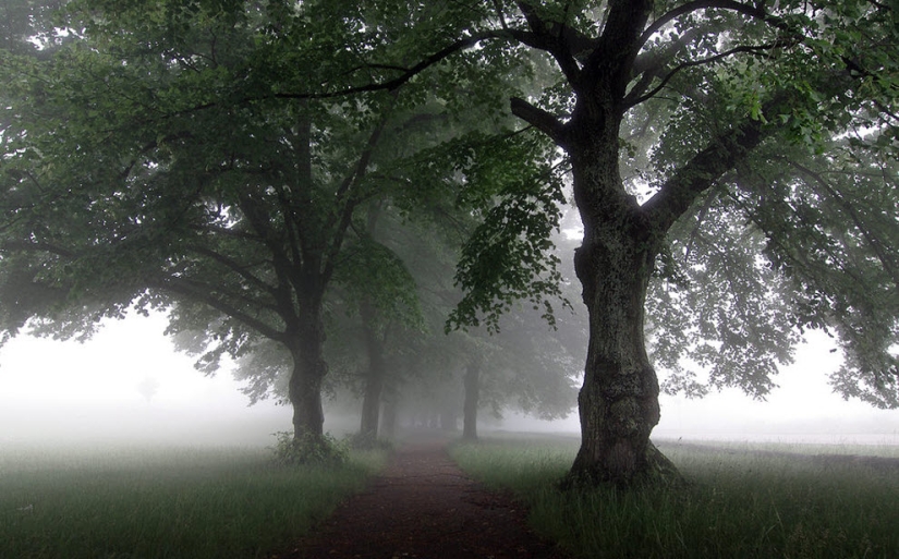 100 amazing fog photos (part 1) 100 amazing fog photos (part 1)