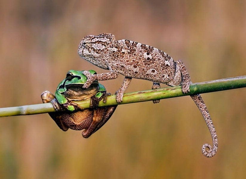 100 best photos without photoshop