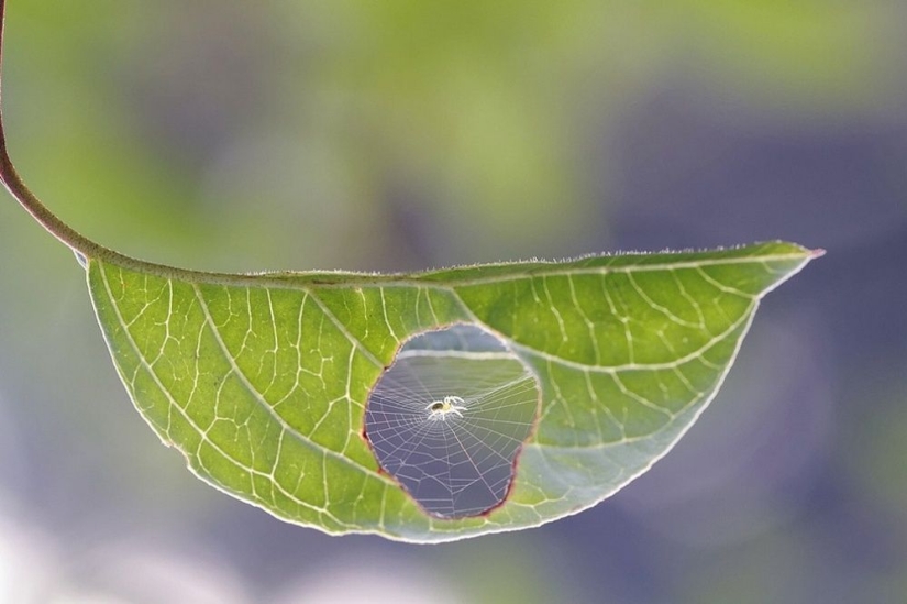 100 best photos without photoshop