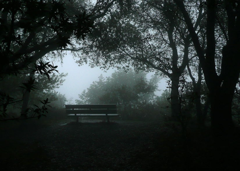 100 increíbles fotos de niebla (parte 1) 100 increíbles fotos de niebla (parte 1)