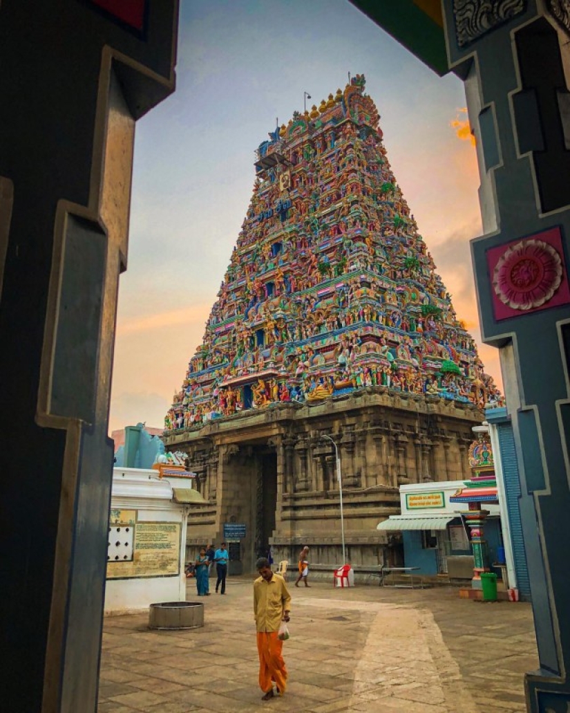 11 consejos efectivos sobre cómo tomar fotos geniales en iPhone