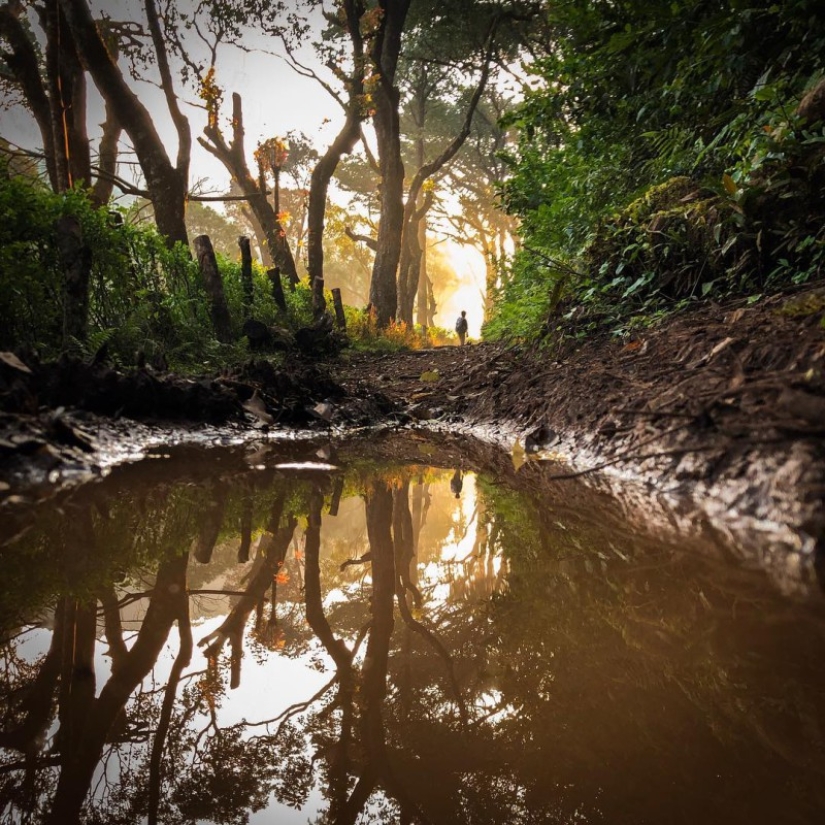 11 consejos efectivos sobre cómo tomar fotos geniales en iPhone