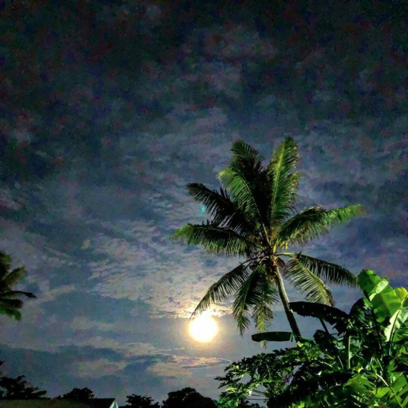 11 effective tips on how to take cool photos on iPhone