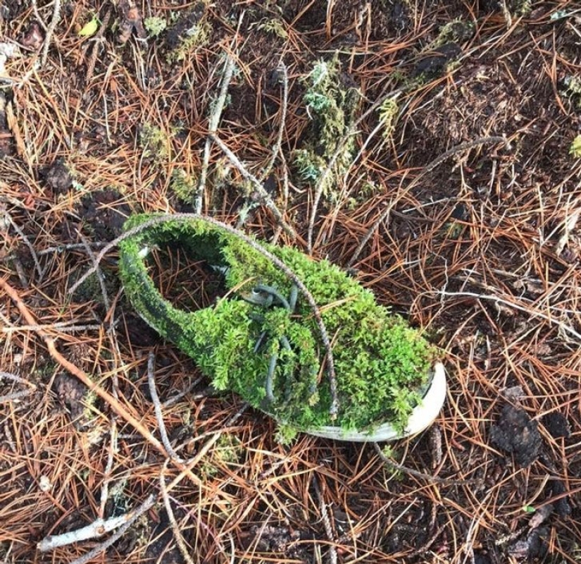 11 fotos de lugares donde la naturaleza ha recuperado el control 11 fotos de lugares donde la naturaleza ha recuperado el control