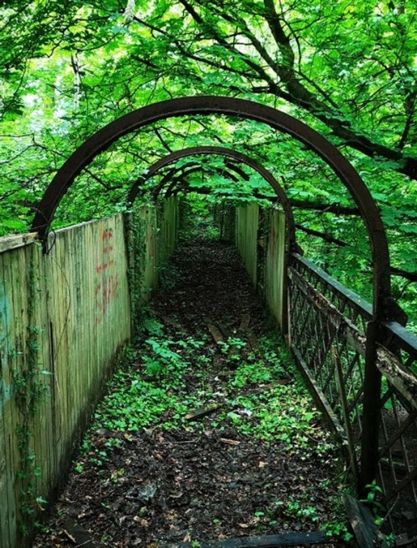 11 fotos de lugares donde la naturaleza ha recuperado el control 11 fotos de lugares donde la naturaleza ha recuperado el control