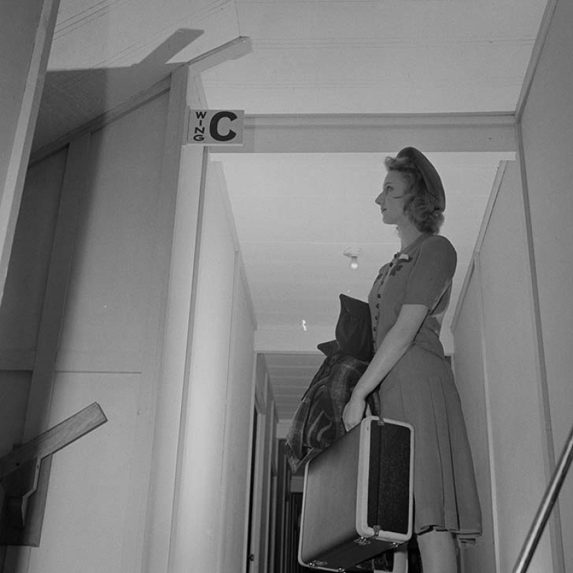 11 hectares of free women 11 hectares of free women