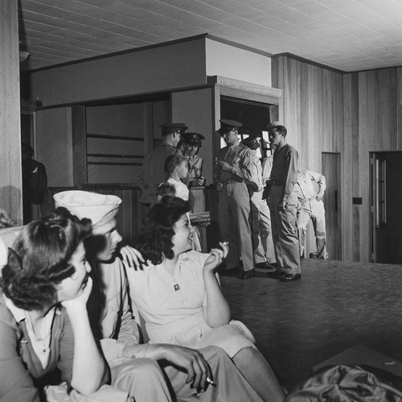 11 hectáreas de mujeres libres 11 hectáreas de mujeres libres