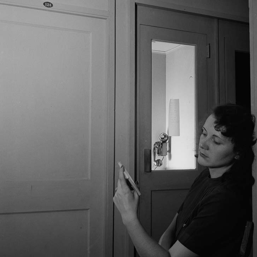 11 hectáreas de mujeres libres 11 hectáreas de mujeres libres