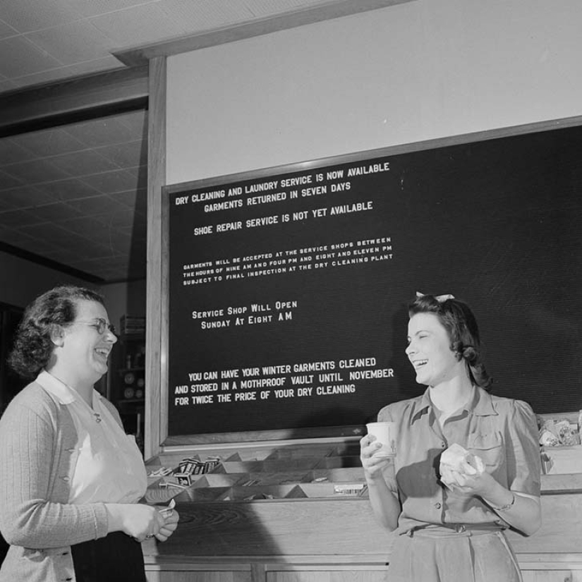 11 hectáreas de mujeres libres 11 hectáreas de mujeres libres