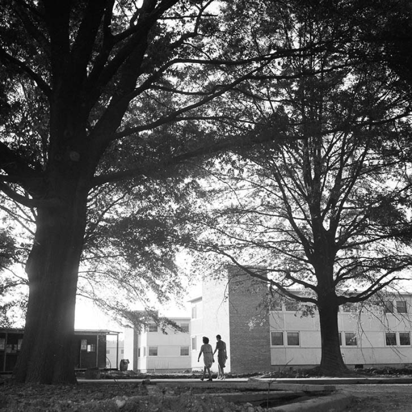 11 hectáreas de mujeres libres 11 hectáreas de mujeres libres