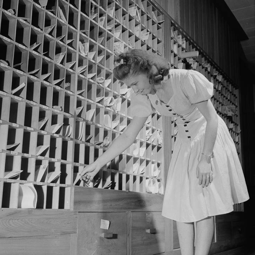 11 hectáreas de mujeres libres 11 hectáreas de mujeres libres