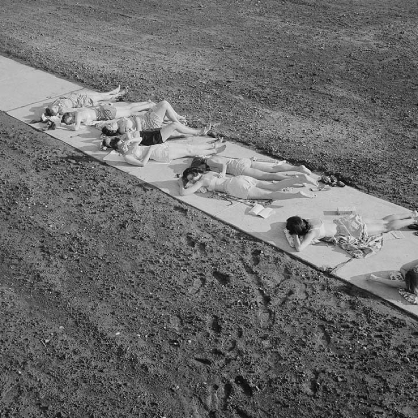 11 hectáreas de mujeres libres 11 hectáreas de mujeres libres