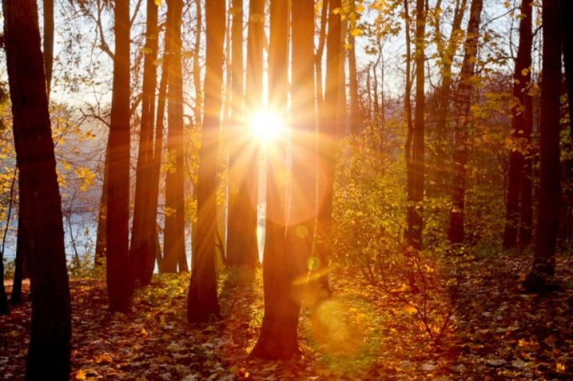 11 lugares donde el otoño se ve realmente genial 11 lugares donde el otoño se ve realmente genial