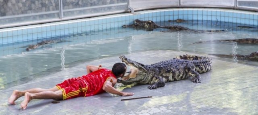 11 Most Dangerous Jobs in the World