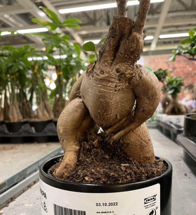 11 ocasiones en las que la naturaleza nos tiene curiosas sorpresas 11 ocasiones en las que la naturaleza nos tiene curiosas sorpresas