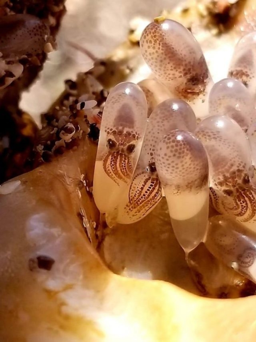 11 people showed us a different side of life that not everyone saw