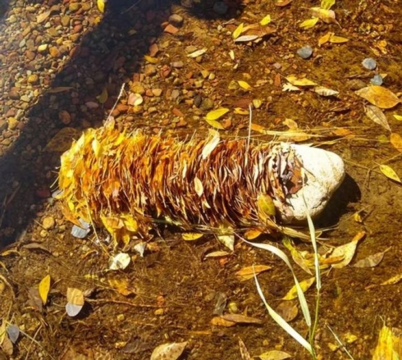 11 people showed us a different side of life that not everyone saw