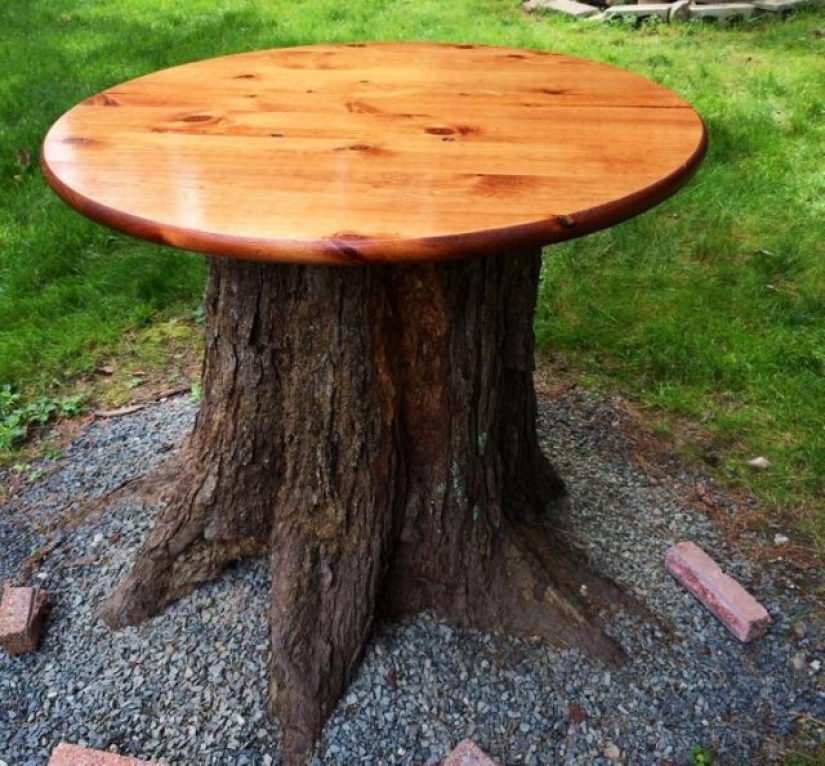 11 personas cuya creatividad se mueve súper rápido 11 personas cuya creatividad se mueve súper rápido