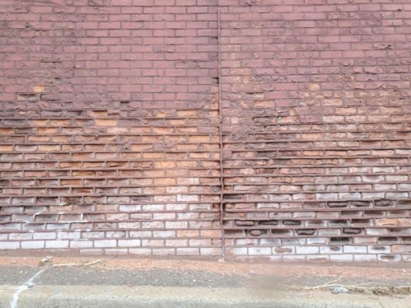 11 personas nos mostraron un lado diferente de la vida que no todos vieron