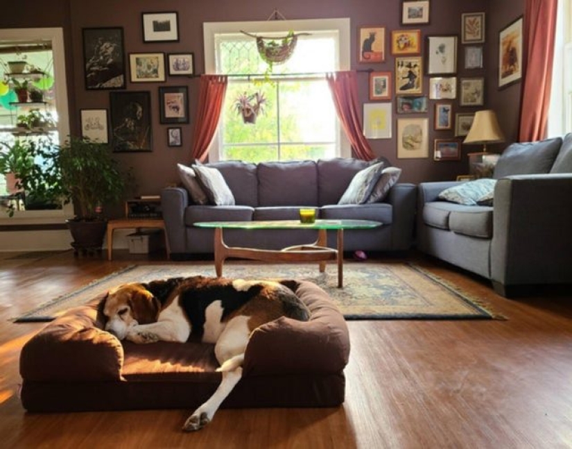 11 personas que crearon su propio cielo en la tierra