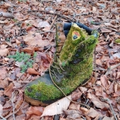 11 Photos of Places Where Nature Has Taken Back Control